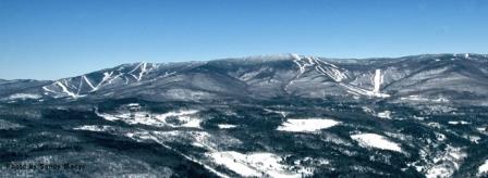 Sugarbush